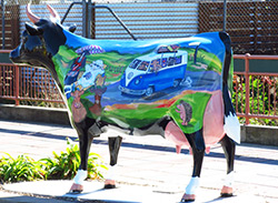 Herd of Morrinsville