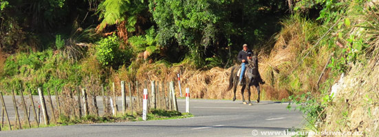 Horseman, Forgotten World Highway