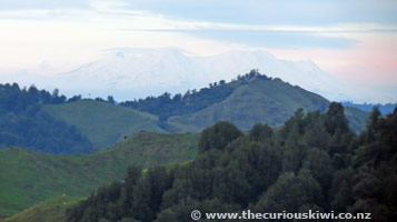 Mt Ruapehu from Strathmore Saddle