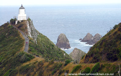 Nugget Point in The Catlins