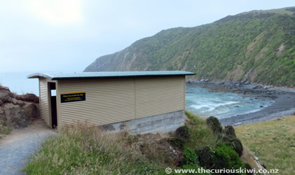 Roaring Bay Penguin Hide